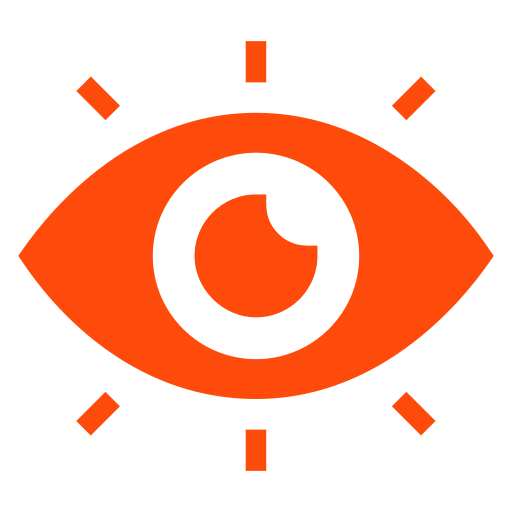 Our Vision icon